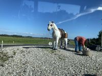 frühere Einnahmequelle 