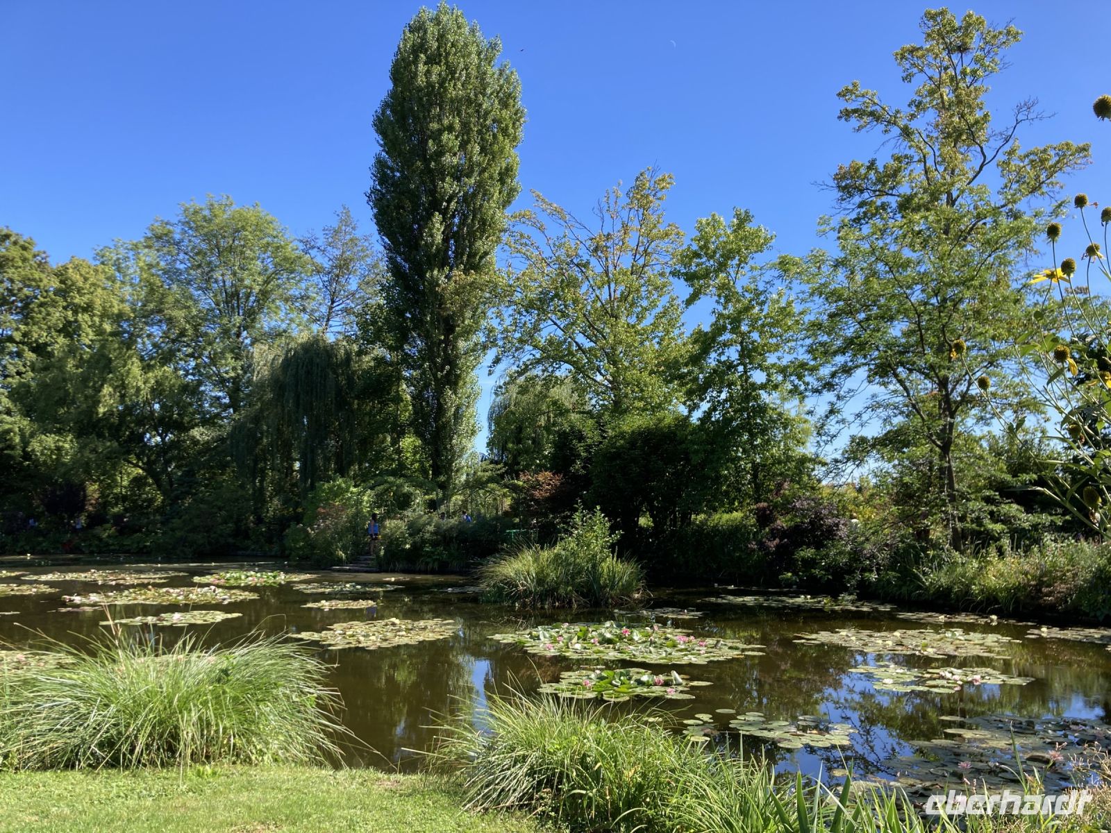 im Garten von Claude Monet