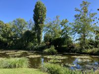 im Garten von Claude Monet