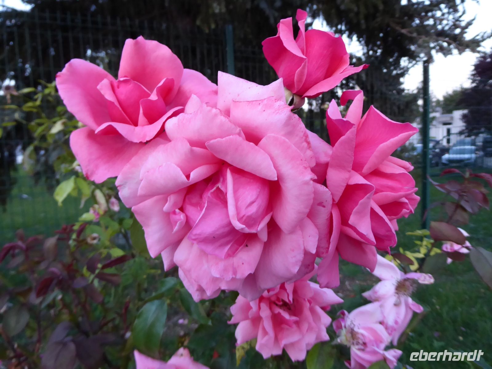 Tag 1, 19.08.2023 Anreise  