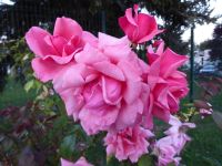 Tag 1, 19.08.2023 Anreise  