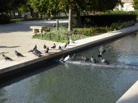 Tag 2 20.08.2023 Stadtführung in Troyes 