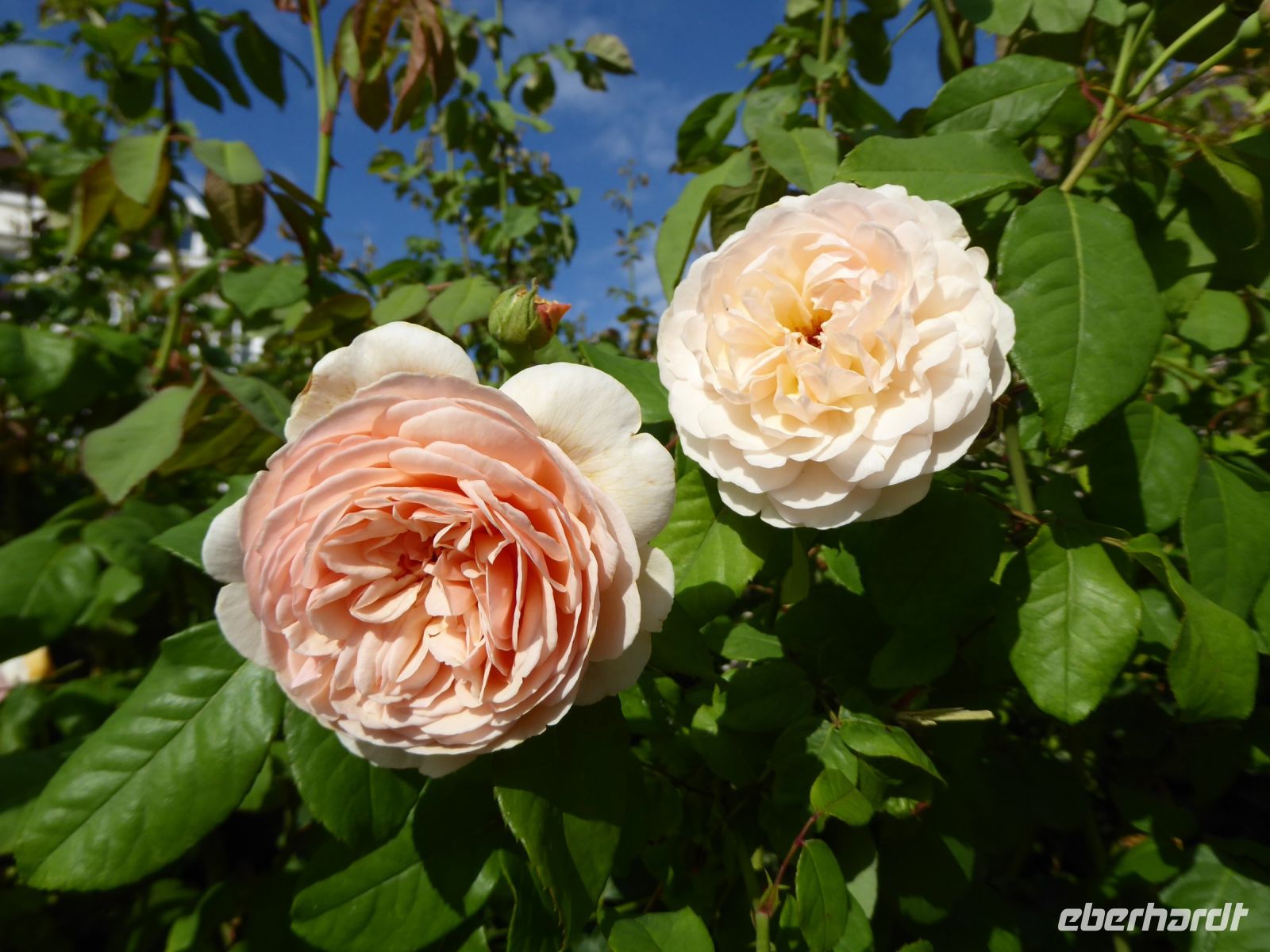 Tag 2 20.08.2023 Stadtführung in Troyes 