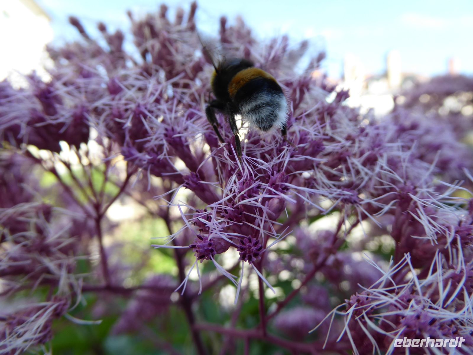 Tag 2 20.08.2023 Stadtführung in Troyes