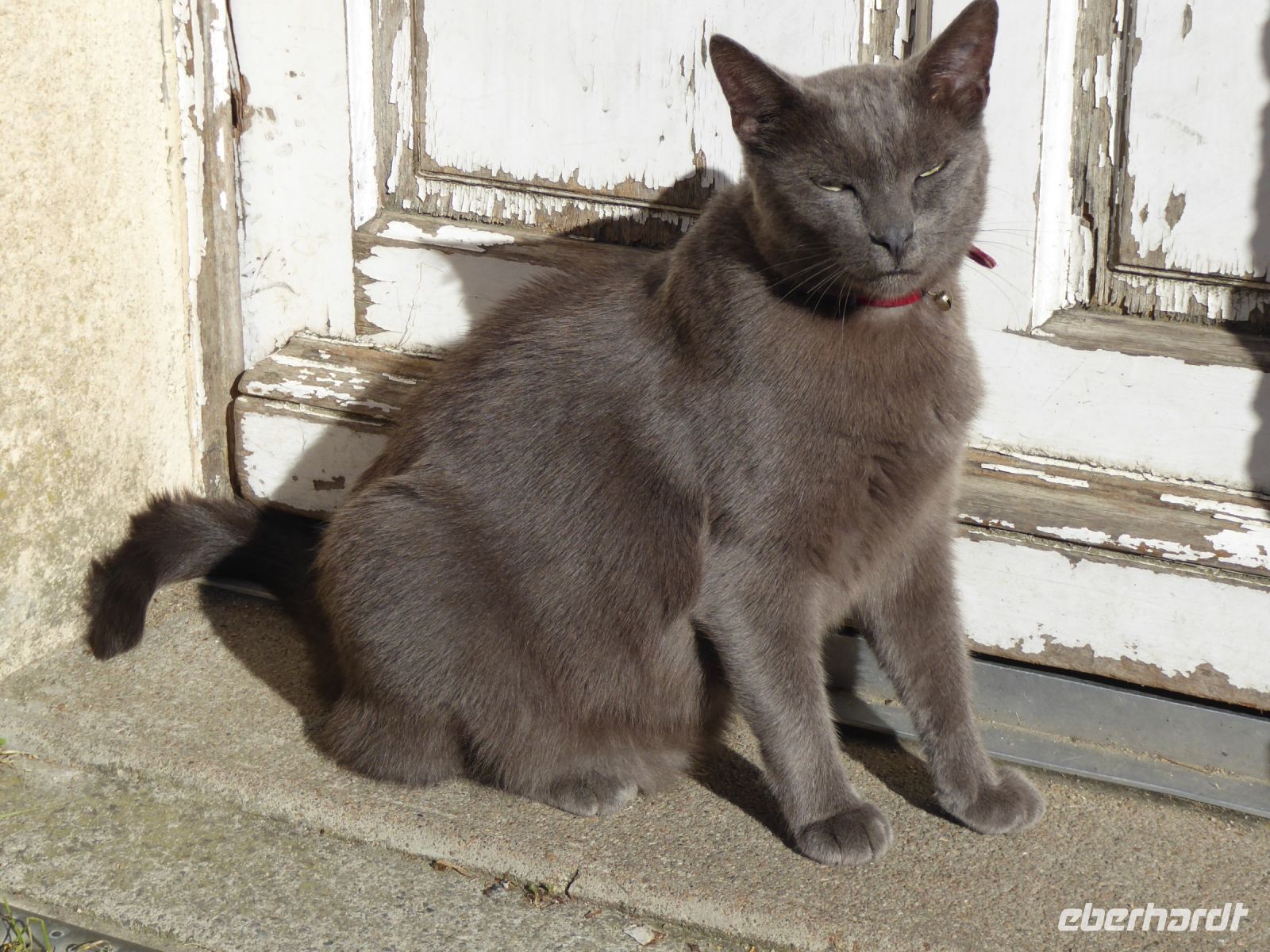 Tag 3 21.08.2023 Stadtführung in Vannes 