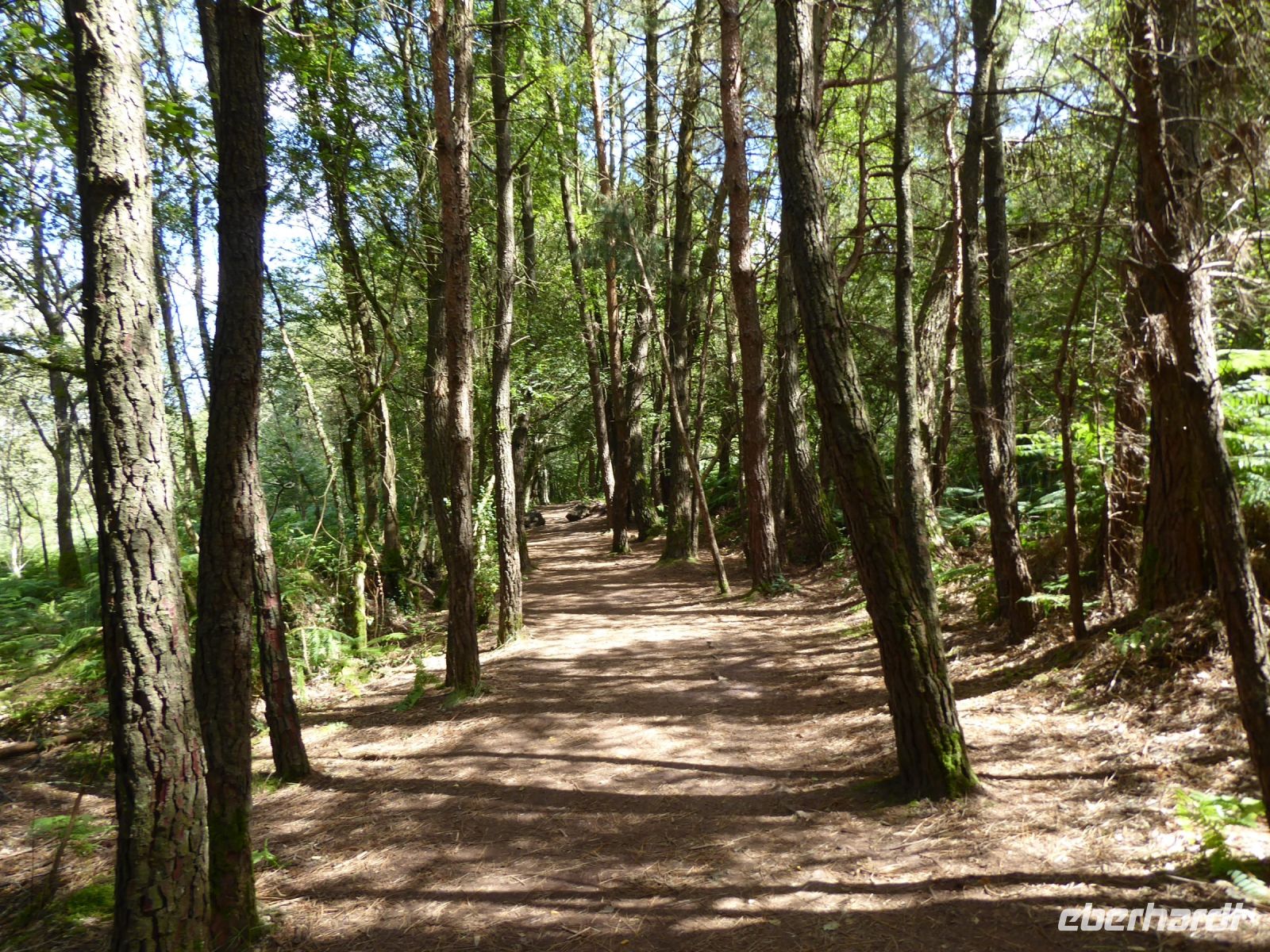 Tag 3 21.08.2023 Wanderung zur Quelle Barenton 