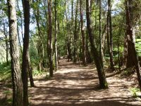 Tag 3 21.08.2023 Wanderung zur Quelle Barenton 