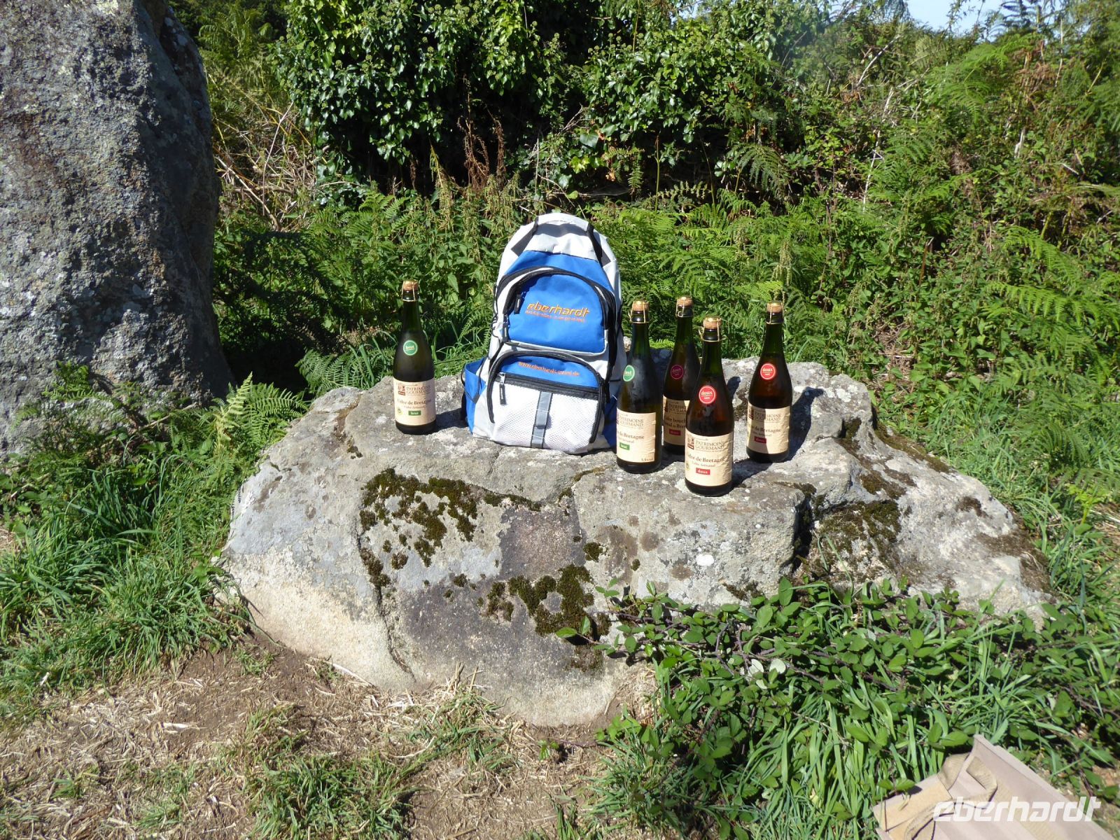 Tag 4 22.08.2023 Menhire bei Erdeven  