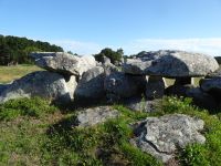 Tag 4 22.08.2023 Wanderung um die Menhirfeder von Carnac 