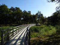 Tag 4 22.08.2023 Wanderung um die Menhirfeder von Carnac 
