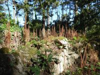 Tag 4 22.08.2023 Wanderung um die Menhirfeder von Carnac