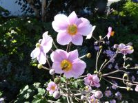 Tag 4 22.08.2023 Wanderung um die Menhirfeder von Carnac 