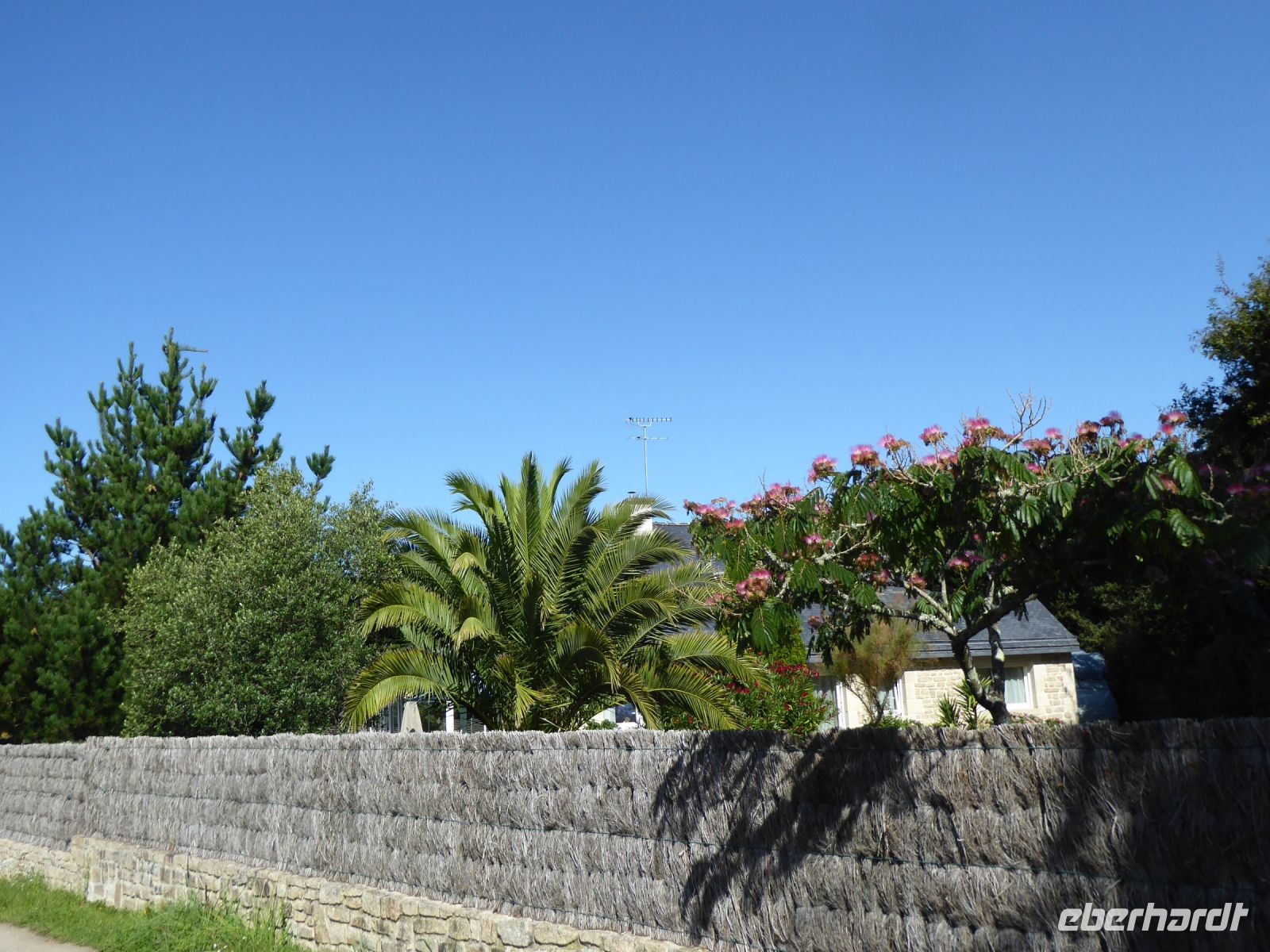 Tag 4 22.08.2023 Wanderung um die Menhirfeder von Carnac 