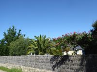 Tag 4 22.08.2023 Wanderung um die Menhirfeder von Carnac 