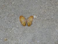 Tag 5 23.08.2023 Strandwanderung auf der Halbinsel Penmarch 