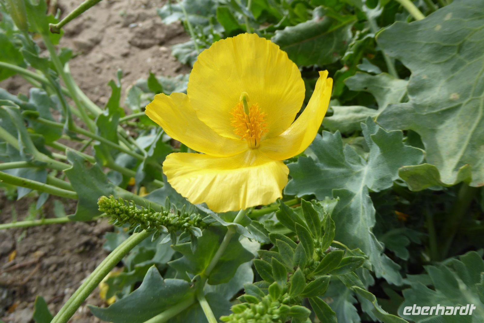 Tag 5 23.08.2023 Strandwanderung auf der Halbinsel Penmarch