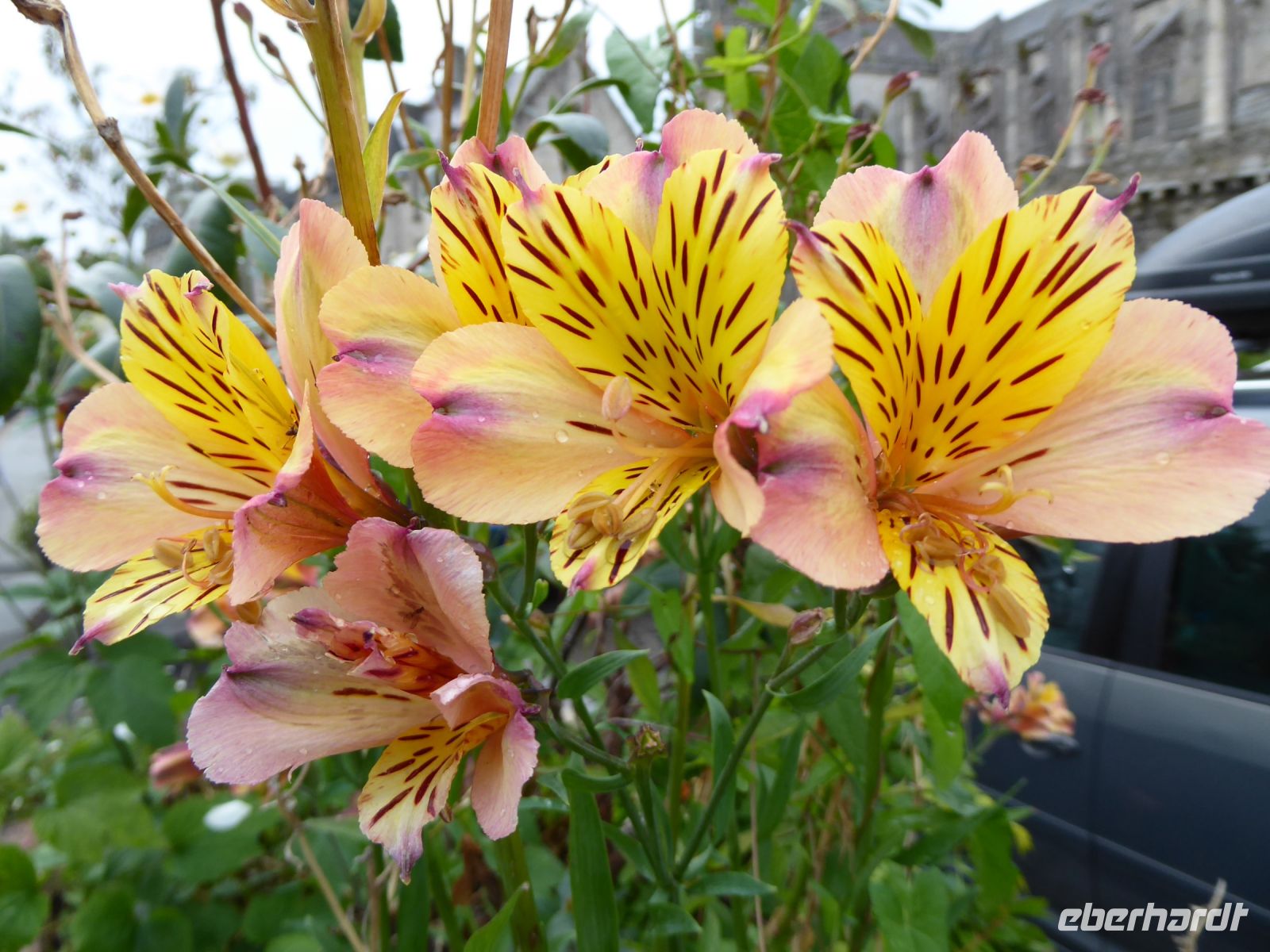 Tag 5 23.08.2023Abendspaziergang in Quimper  