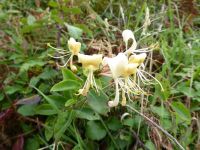 Tag 6 224 08.2023 Küstenwanderung zur Pointe du Raz 