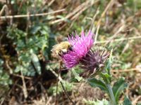 Tag 6 224 08.2023 Küstenwanderung zur Pointe du Raz 