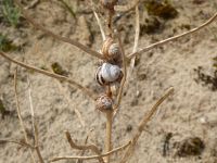 Tag 6 224 08.2023 Küstenwanderung zur Pointe du Raz 