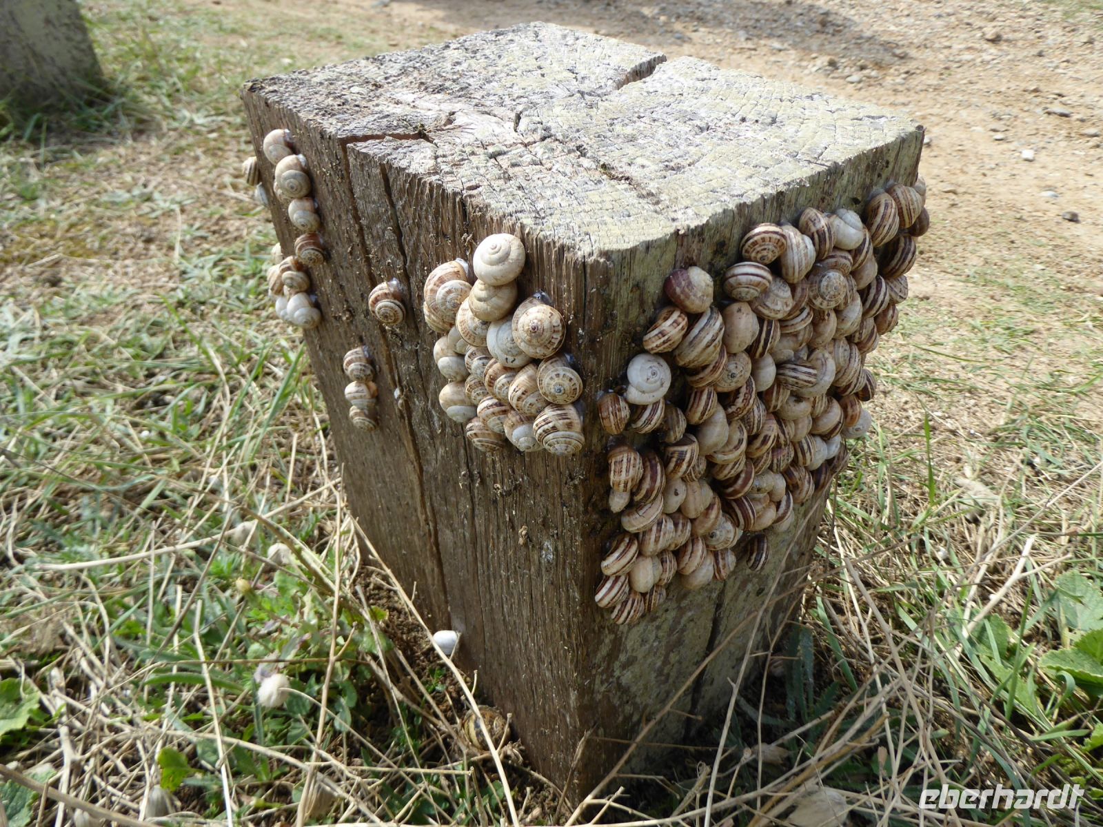 Tag 6 224 08.2023 Küstenwanderung zur Pointe du Raz 
