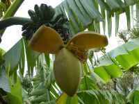 Tag 7 25.08.2023 Stadtführung in Quimper 