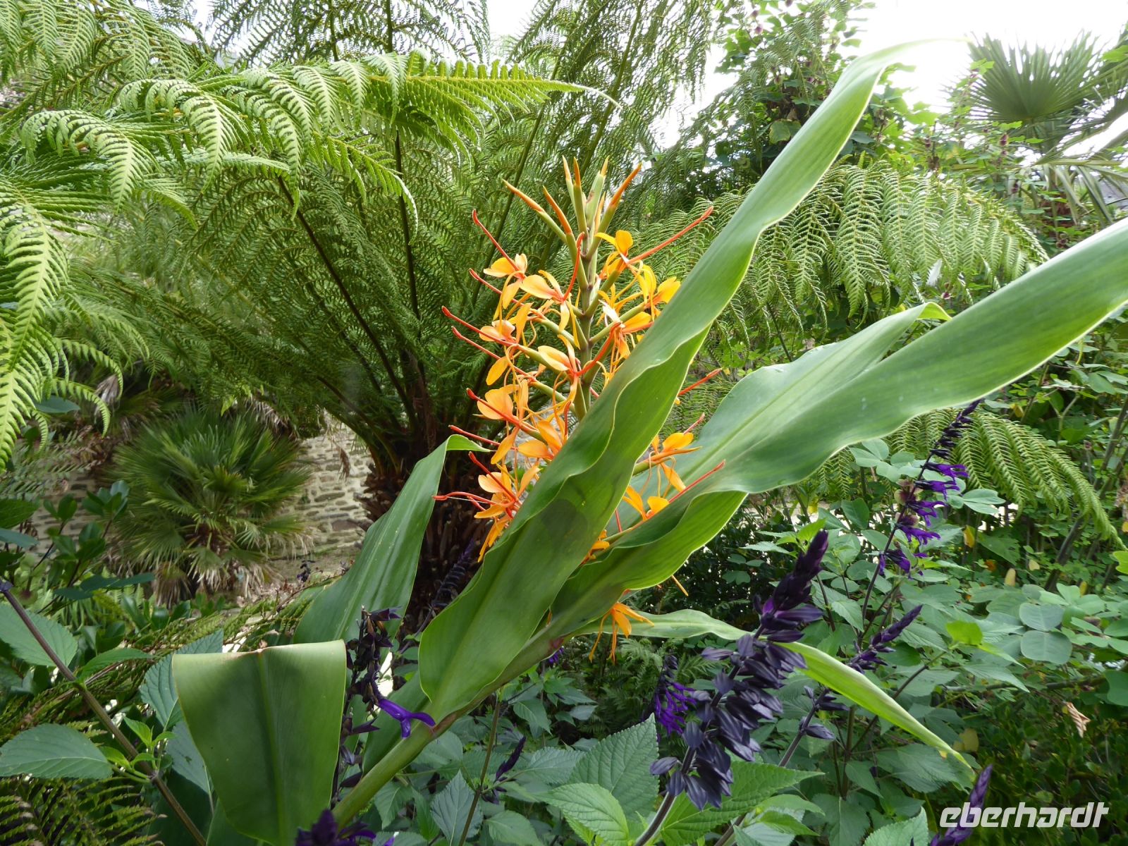 Tag 7 25.08.2023 Stadtführung in Quimper 