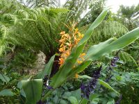 Tag 7 25.08.2023 Stadtführung in Quimper 