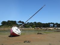 Tag 7 25.08.2023 Wanderung um die Halbinsel Renote 