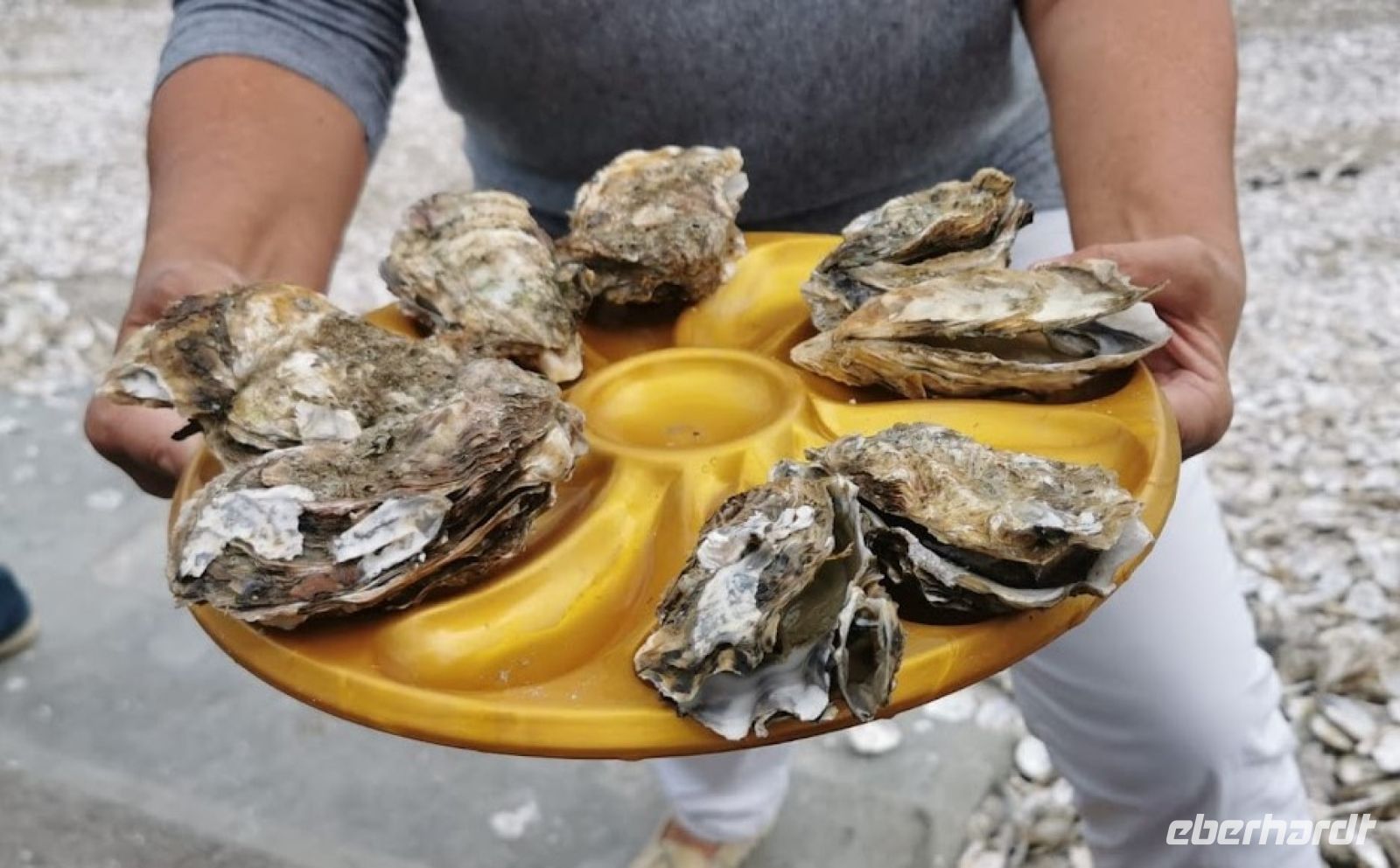Tag 9 27.08.2023 Austernessen in Cancale