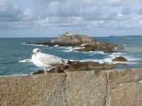 Tag 9 27.08.2023 St. Malò