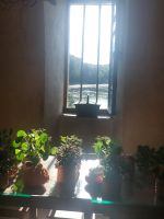 Schloß Chenonceau: In der Küche