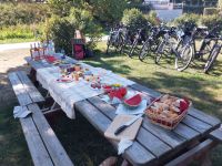 Picknick: Pate, Ziegenkäse in Asche gewälzt, ...