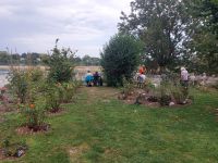 Candes-Saint-Martin: Mittagspause im Rosengarten