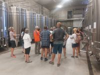 Chinon: Besuch des Weingutes 