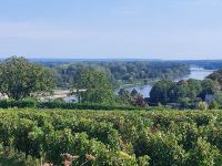 Tour durch die Weinberg, mit Blick auf die Loire