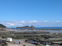 Blick über die Austernbänke bei Cancale