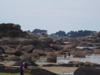 Rosa Granitküste in Ploumanach