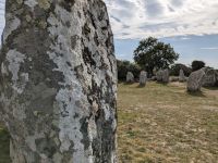 Alignement (Steinreihen) von Kerzerho