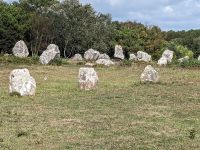 Steinreihen des Alignements 