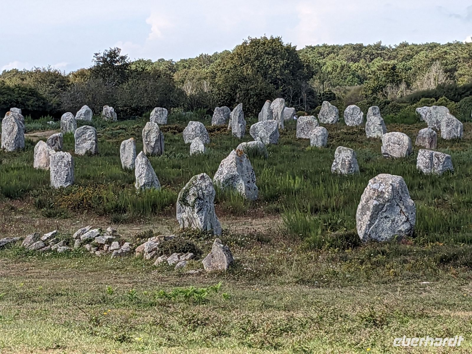 Steinreihen des Alignements 
