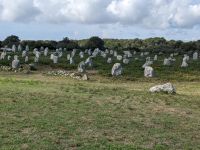 Steinreihen des Alignements 