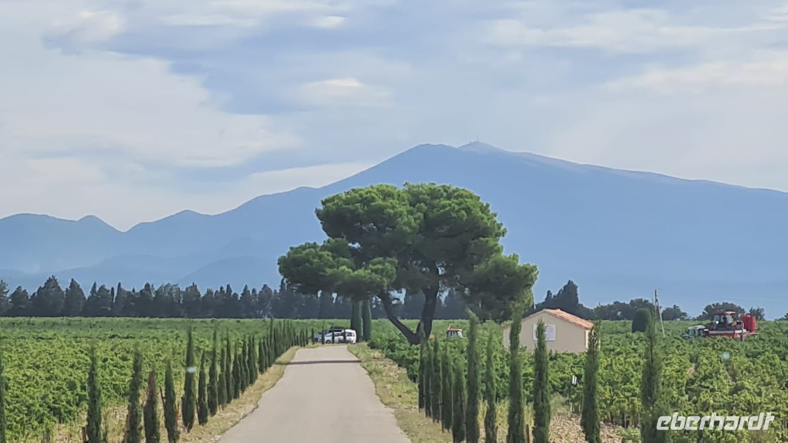 Weinfeldstraße Châteauneuf-du-Pape