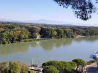 Rhone bei Avignon