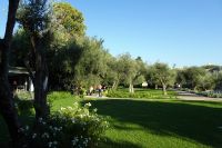 Tag 1 02.10.2023 Im Garten des Chagall Museums