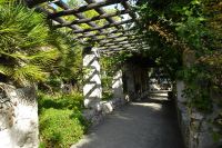 Tag 2 03.10.2023 Nizza, Kloster Cimiez