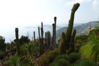 Tag 3 04.10.2023 Èze village, Kakteengarten