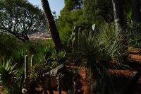 Tag 5 06.10.2023 Monaco