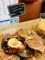 Fischmarkt in Saint-Tropez