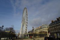 Tag 2, 29.12.2023  Spaziergang durch die Tuilerien